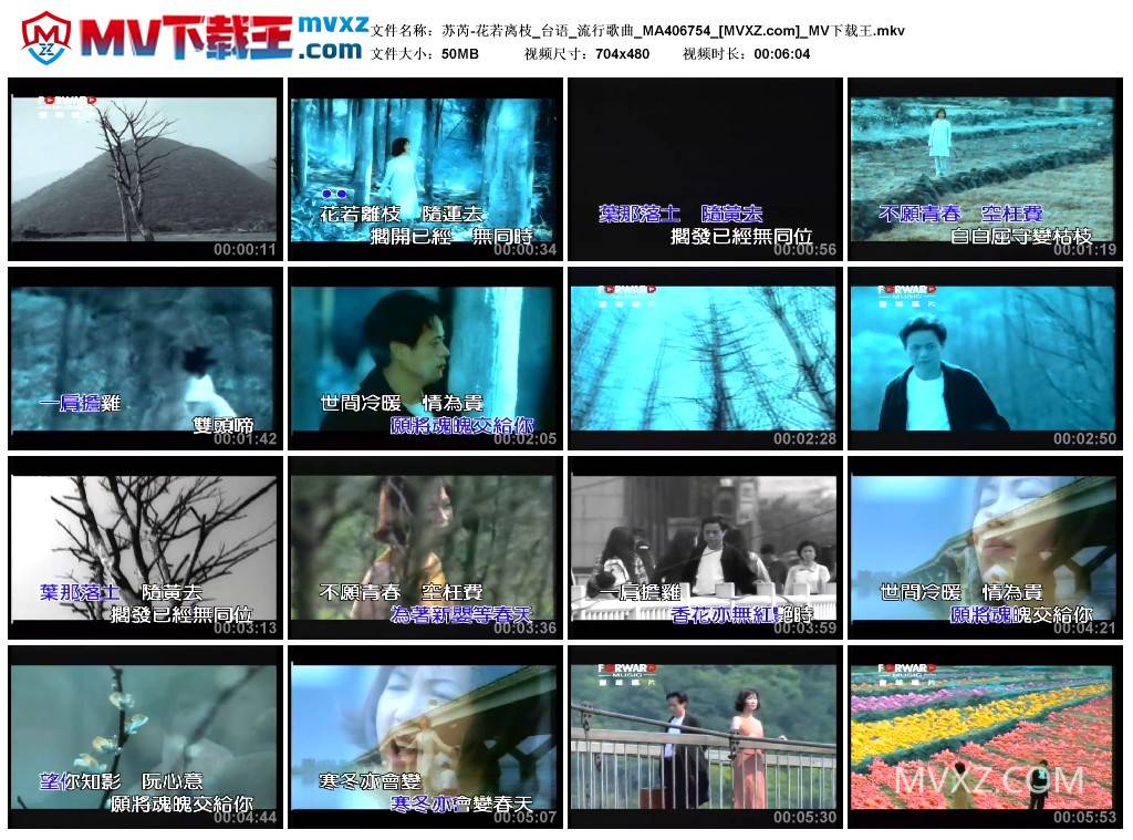 苏芮-花若离枝_台语_流行歌曲_MA406754